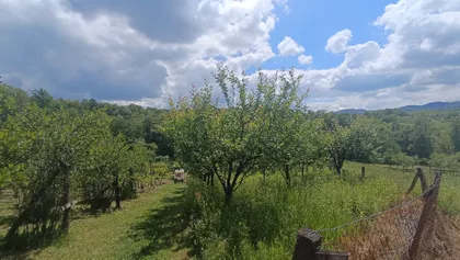 Banja Vrujci | 4zida.rs