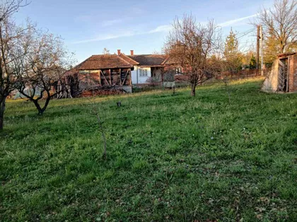 Veliki Borak | 4zida.rs