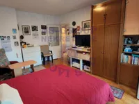 Stara Detelinara, Detelinara, Gradske lokacije, Novi Sad | 4zida.rs