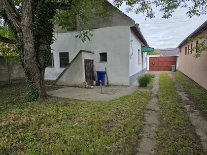 Golubova | 4zida.rs