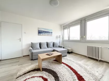 Sime Igumanova | 4zida.rs