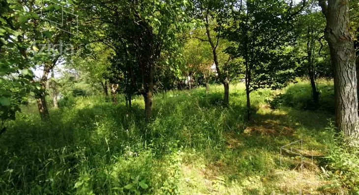 Plac | 4zida
