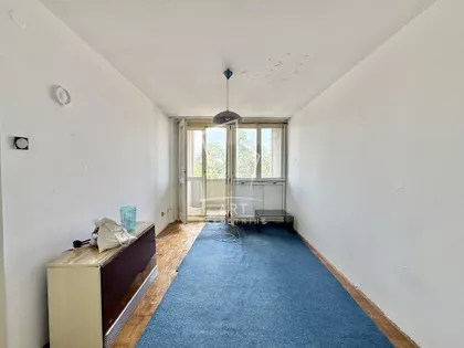 Žila Verna | 4zida.rs