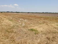 Dobanovci, Surčin opština, Beograd | 4zida.rs