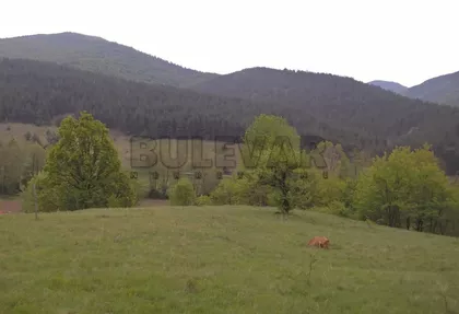 Mitrovo Polje | 4zida.rs