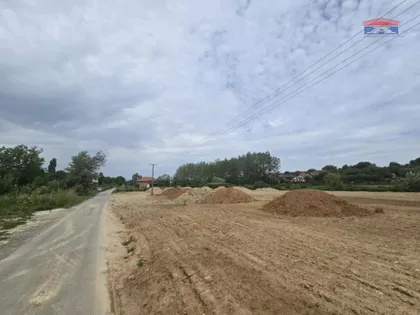 Alibegovac | 4zida.rs