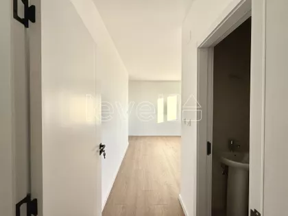Alibegovac | 4zida.rs