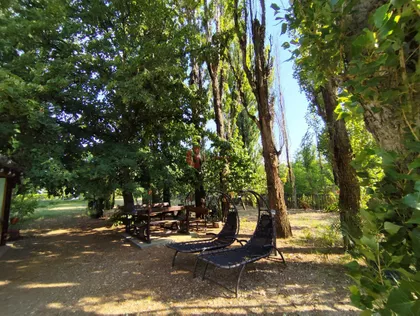 Zorka | 4zida.rs