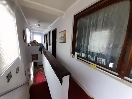 Malo Golovode | 4zida.rs