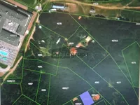 Ćuštica, Okolne lokacije, Knjaževac | 4zida.rs