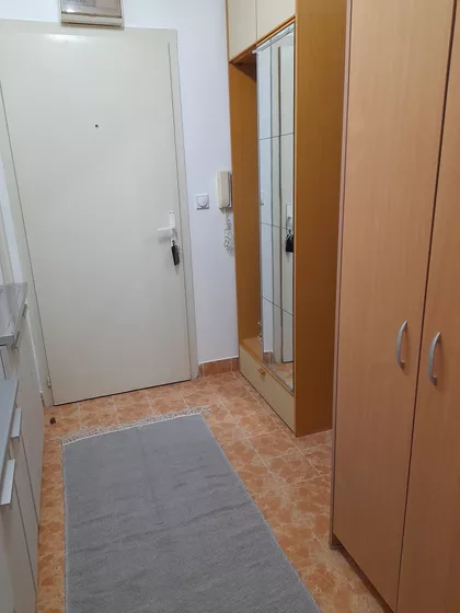 Spasenije Cane Babović | 4zida.rs