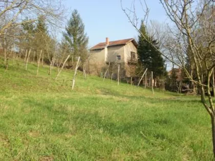 Mitrovačka | 4zida.rs