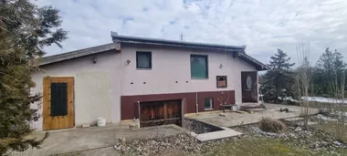 Srpski Šor