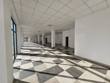 Žitni Trg