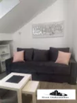Novi Sad - Centar, Stari Grad, Gradske lokacije, Novi Sad | 4zida.rs | 4zida.rs