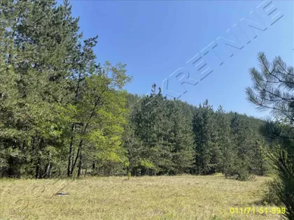 Konjska Reka | 4zida.rs