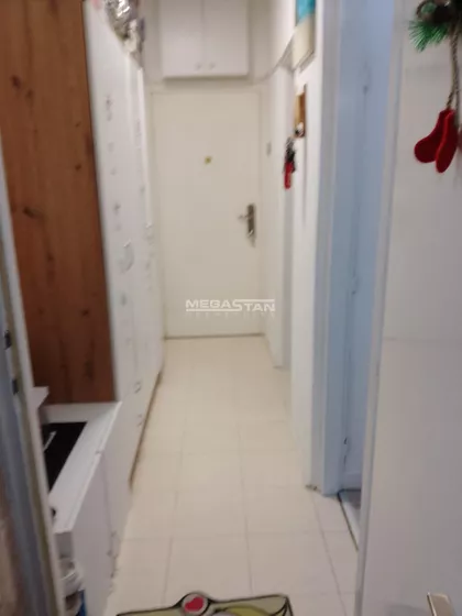 Stanka Paunovića Veljka | 4zida.rs