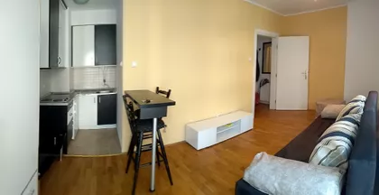 Petra Drapsina 47 | 4zida.rs