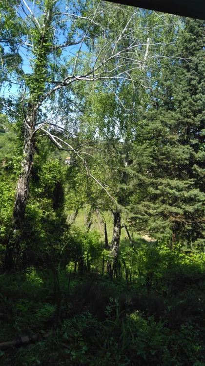 Zanoš | 4zida.rs