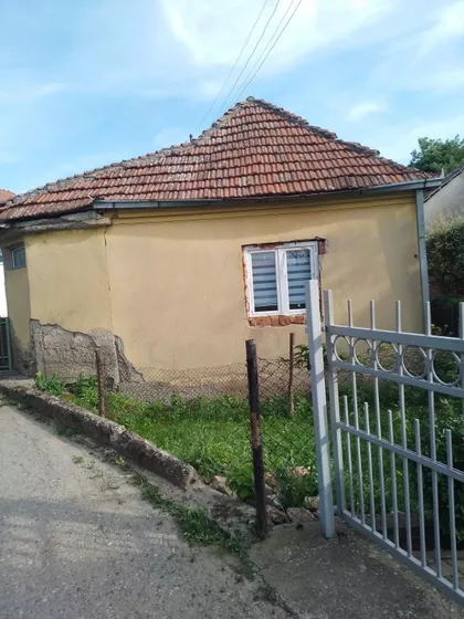 Vidovdanska | 4zida.rs