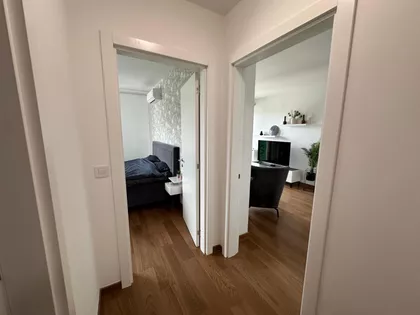 Bežanijska kosa | 4zida.rs