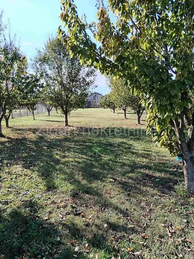 Svetosavska