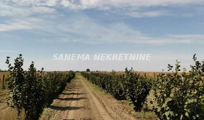 Poljoprivredno zemljište | 4zida