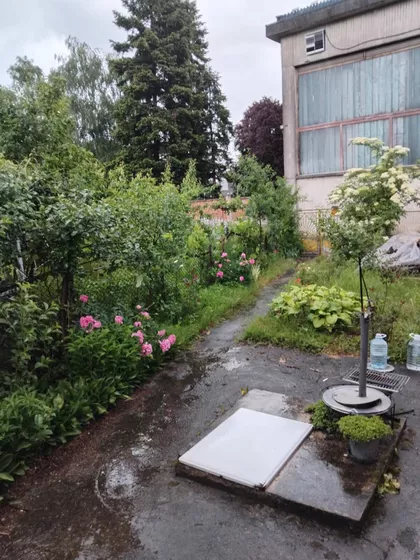 Miletine Bune | 4zida.rs