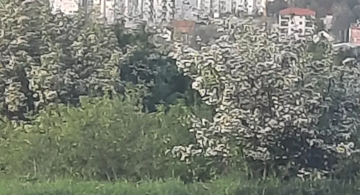 Poljoprivredno zemljište | 4zida