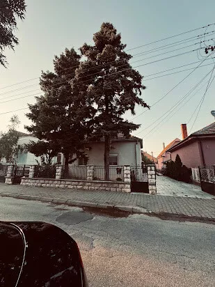 Mare Lukić Jelesić | 4zida.rs