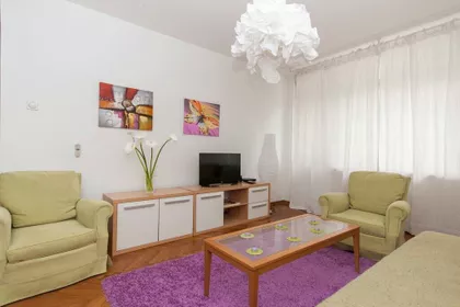 Zmaj Jovina | 4zida.rs