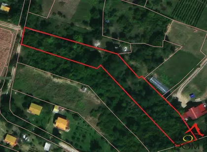 Puckaroš | 4zida.rs