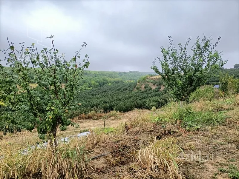 Poljoprivredno zemljište | 4zida