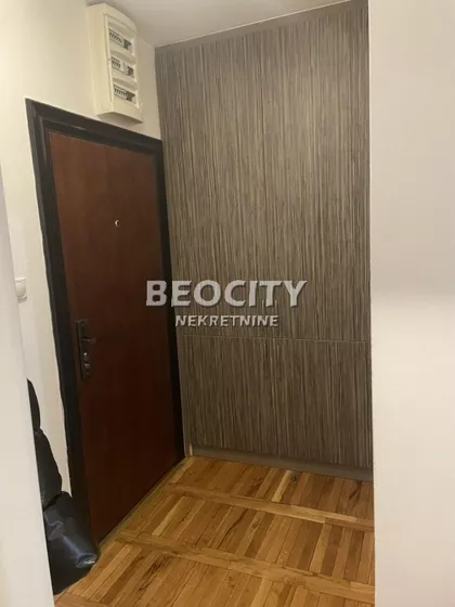 Petra Drapšina | 4zida.rs