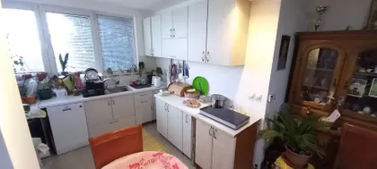 Pere Kosorića | 4zida.rs