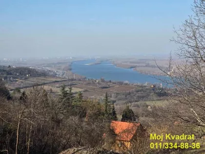 Mali gaj | 4zida.rs