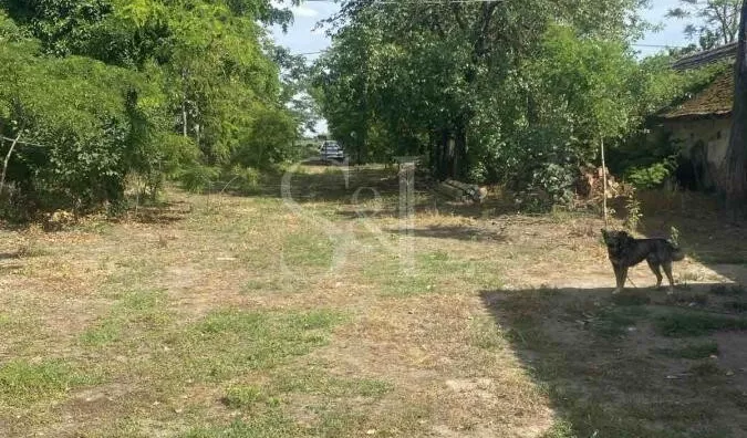 Poljoprivredno zemljište | 4zida