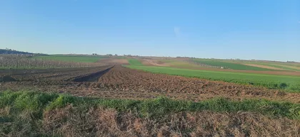 Fruškogorska | 4zida.rs