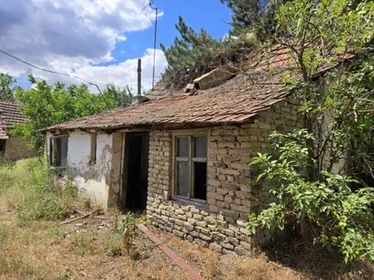 Kelebija | 4zida.rs