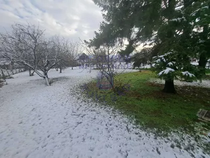 Mihajla Pupina | 4zida.rs