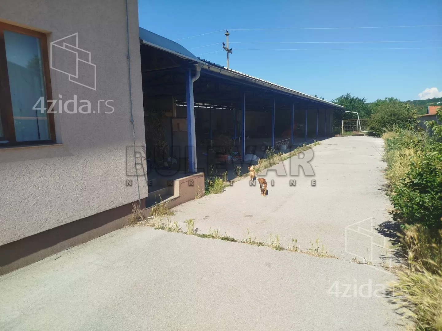 Lokal | 4zida
