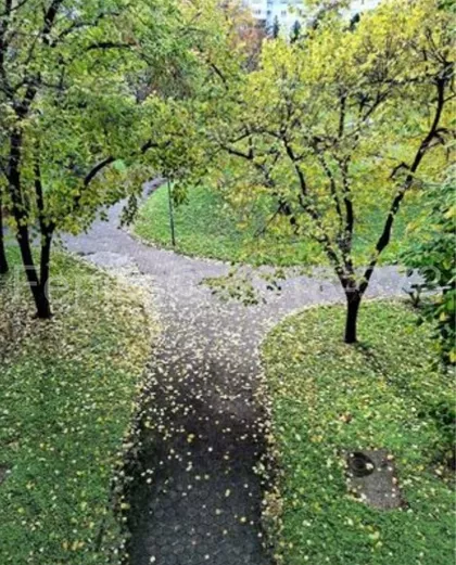 Španskih boraca | 4zida.rs