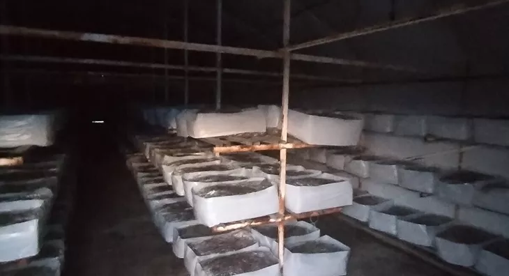 Poljoprivredno zemljište | 4zida