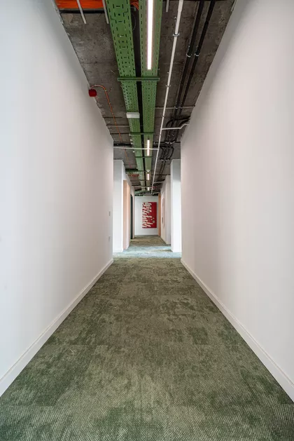 Zmaj Jovina | 4zida.rs