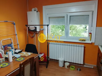 Žarka Zrenjanina | 4zida.rs