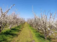 Brestovac, Okolne lokacije, Knić | 4zida.rs