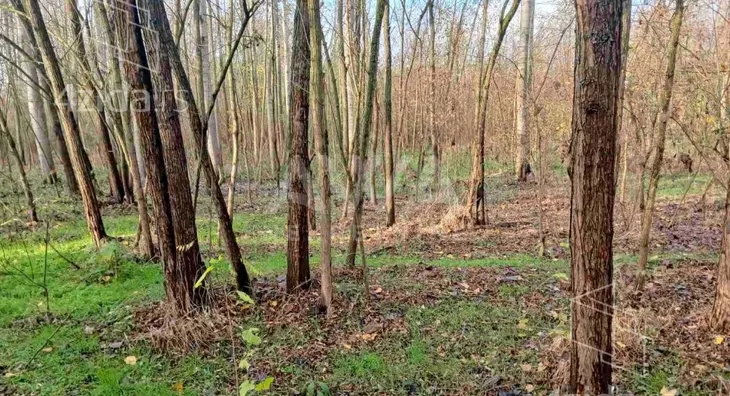 Poljoprivredno zemljište | 4zida