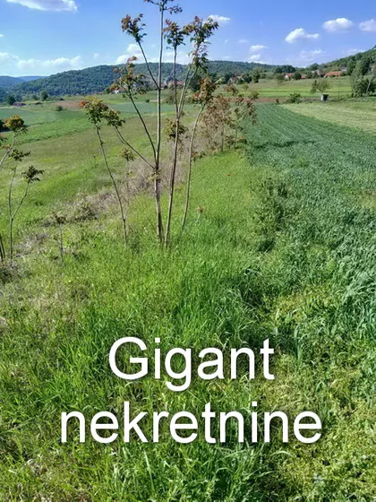 Gradske lokacije | 4zida.rs