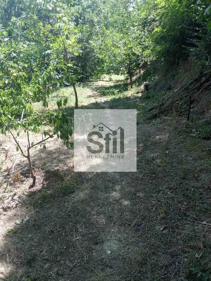 Sremska Kamenica | 4zida.rs