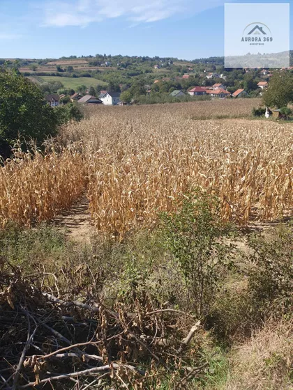 Vrdnik | 4zida.rs
